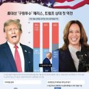 &#39;극과 극&#39; 트럼프 vs 해리스…가까운 건 &#39;2%P차&#39; 지지율뿐 이미지