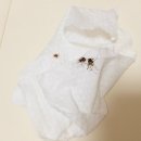 봄봄 직구 네이버블로그