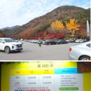 제903회차 11/12 순창 강천산(584 m)단풍 산행예약 신청 이미지