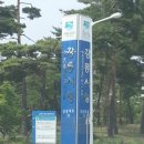 &lt;소소한일상&gt; 강릉시청 방문 후기 / 로하스 작은도서관 / LOHAS / 강릉시청 구내식당 /