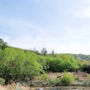 휴양림하우스 이미지