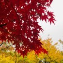 우리동내 이미지