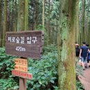 하르방 민박 이미지