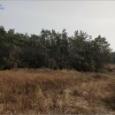 군산시옥도면무녀도보건진료소 이미지