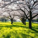 가나안 | 괴산 호텔 | 호텔 웨스트 오브 가나안 후기, 가성비 숙소 추천
