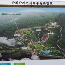 자연생태공원 잔디광장 옆 이미지