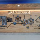 신탄진중학교 이미지