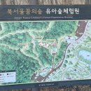 북서울꿈의숲 유아숲체험원 이미지