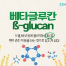 베타글루칸 효능 부작용 섭취방법 까지 총정리 면역력 혈당 콜레스테롤 관리 이미지