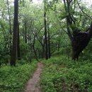 소로3-57 이미지