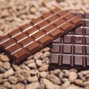 베스트한의원 이미지