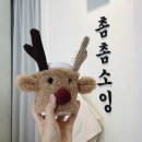 촘촘소잉