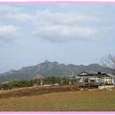 용봉중학교 Daum카페
