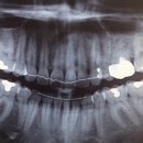 내손치과의원 이미지