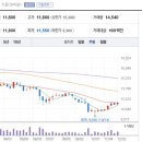 (주)넬바이오텍 이미지