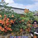 06.29.김수로 왕릉에서 이미지