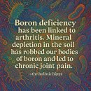 보론 Boron 결핍은 arthritis 관절염과 관련이 있다. 이미지