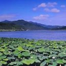 두물머리 이미지