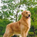 계산메디칼센타 이미지