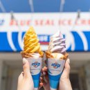 동양소프트 | 동양의 몰디브, 일본 오키나와 보다 미야코지마 휴양지 여행 추천