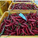 북안동농협 이미지