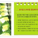 도계정보화두부김치마을 이미지