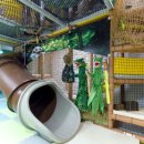 끌레르키즈풀빌라 이미지