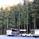 (주)보성다원