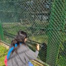 동부공원 | 제주 동부 아이랑 가볼만한곳 - 제주 자연 생태 공원 방문 후기