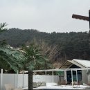 리포레풀램핑 | 가평 감성 글램핑 &#39;리포레풀램핑&#39; 5번 객실 후기!