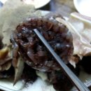 짱구네순대타운