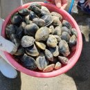 용신어촌계체험휴양마을 이미지