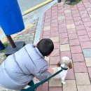 첨단사랑동물병원 이미지