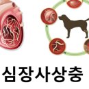 프라임 동물의료센터 이미지