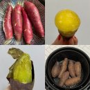 서해5농장 이미지