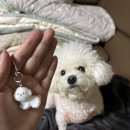3月 일상 와 르 르 르 . . . 上