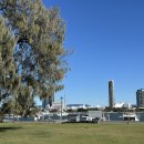 씨월드 피시 이미지