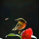 자산동167 이미지