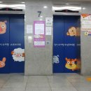 앞선소아청소년과의원 이미지