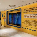 아일랜드롯데월드몰점 네이버블로그