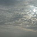 찰바당 이미지