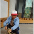 거북이마을 이미지