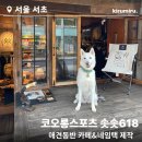 코오롱애견 | 청계산 애견동반 카페 네임텍 키링 제작 코오롱스포츠 솟솟618