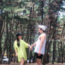 춘장대솔내음캠핑장 이미지