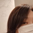 플랜:디 헤어 이미지