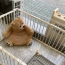 살롱드 베베 이미지