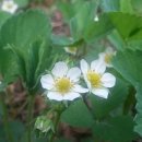 연인산스토리 이미지