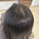 강남역 미용실 헤어샵 추천 희올헤어 새치커버염색 후기