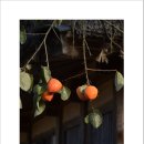 외암마을 이미지