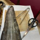 연동바다장어 이미지